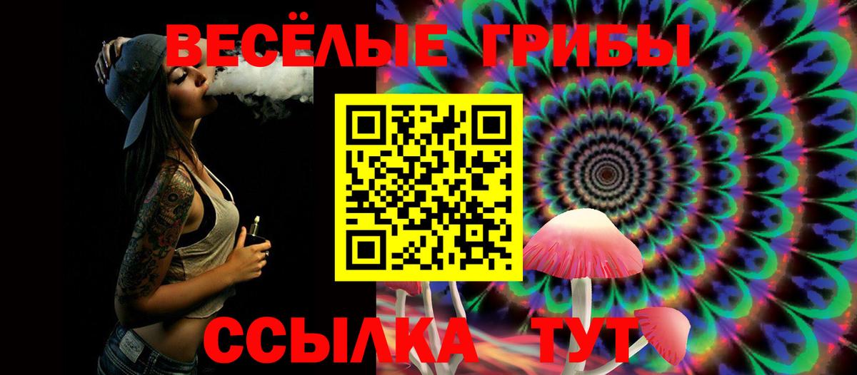 Галлюциногенные грибы мухоморы Кузнецк