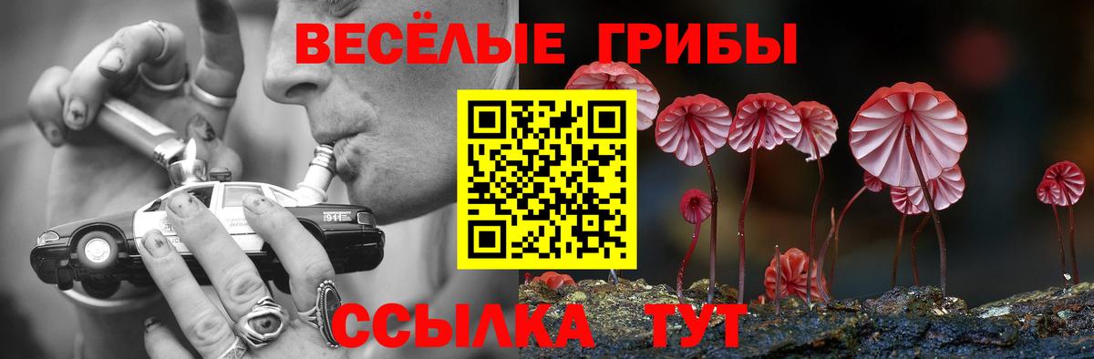 Кузнецк  Галлюциногенные грибы Cubensis  Вход с VPN  Галлюциногенные грибы Magic Shrooms 